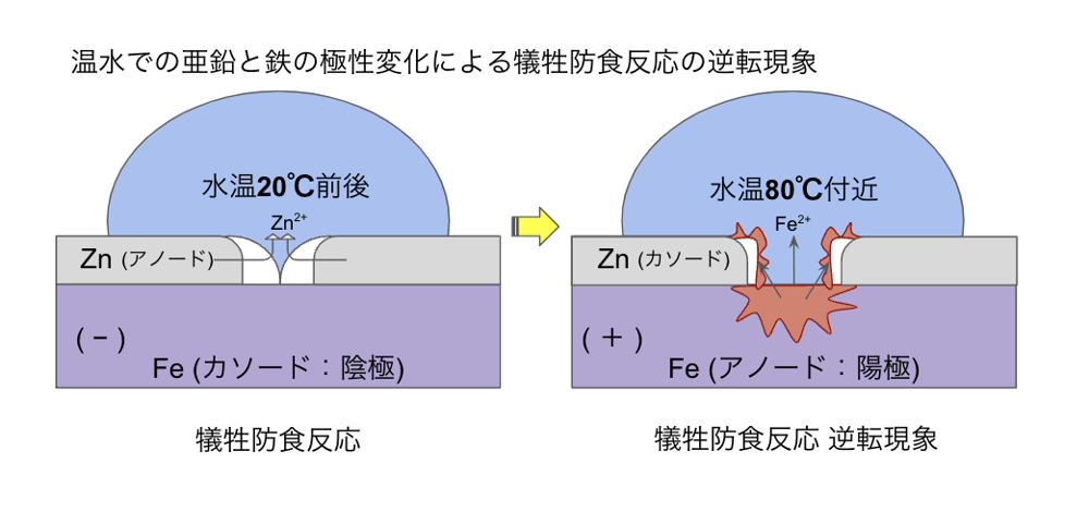 犠牲防食の逆転反応