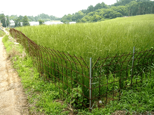 防獣柵(島原)