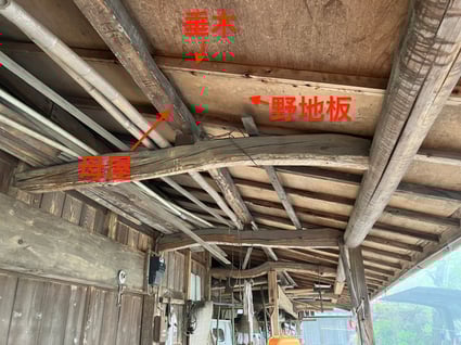 image_50459649