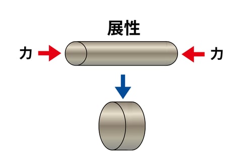 [JP]展性(てんせい)2