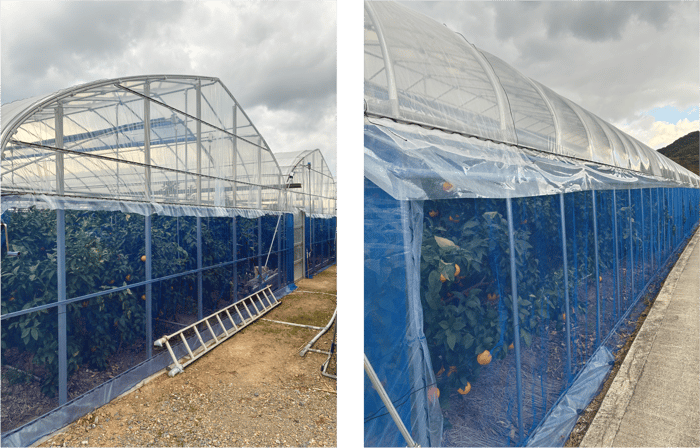 [JP]施工事例(愛媛)