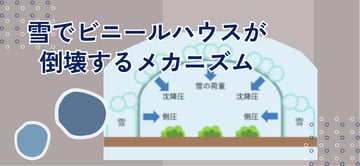 ビニールハウスは、なぜ"雪"で壊れる？！そのメカニズムと対策及び積雪に強い"STXハウス"のご紹介。
