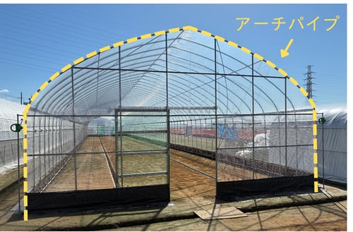 アーチパイプ点