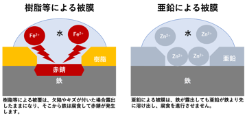 犠牲防食とは亜鉛と鉄の弁慶/牛若丸な関係？！亜鉛メッキのユニークな強味。