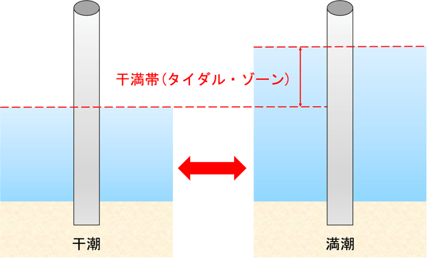 B.[JP][Blog]タイダル・ゾーン