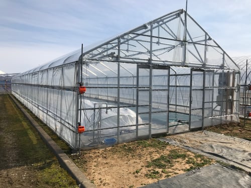 単管パイプハウスで実現する低コストと高強度 北海道での具体例について 単管パイプハウスで実現する低コストと高強度 北海道での具体例について