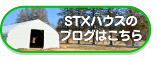 STXハウスブログボタン