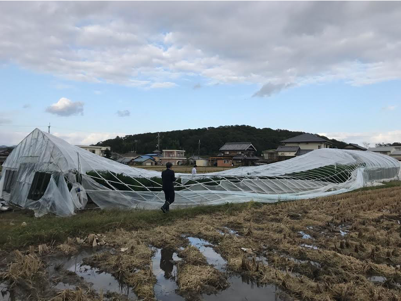 ”予防相談、始めました”＼(^o^)／　ウィズコロナなリモートでの白サビ対策をアタナに。03