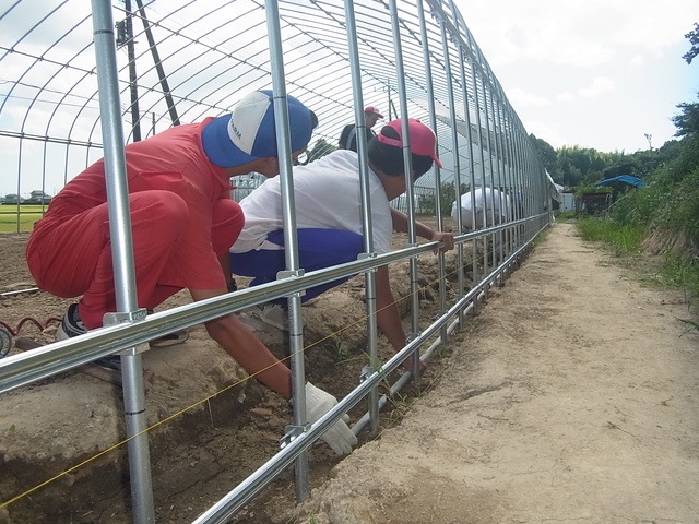 パイプハウス　解体　ビニールハウス　補強パイプ有 補強】合掌補強｜株式会社江口屋｜ビニールハウス、農業資材、包装資材