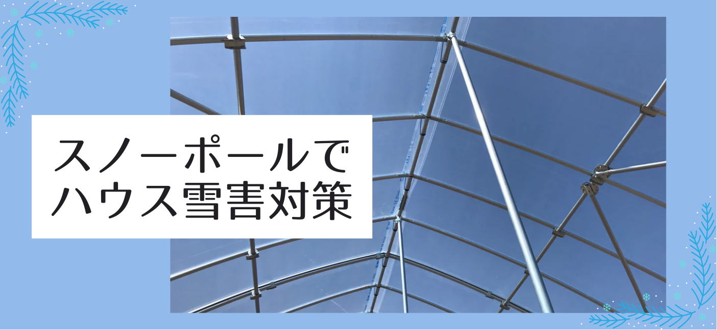 スノーポールでハウスを補強！？雪害対策にも単管パイプの活用を。