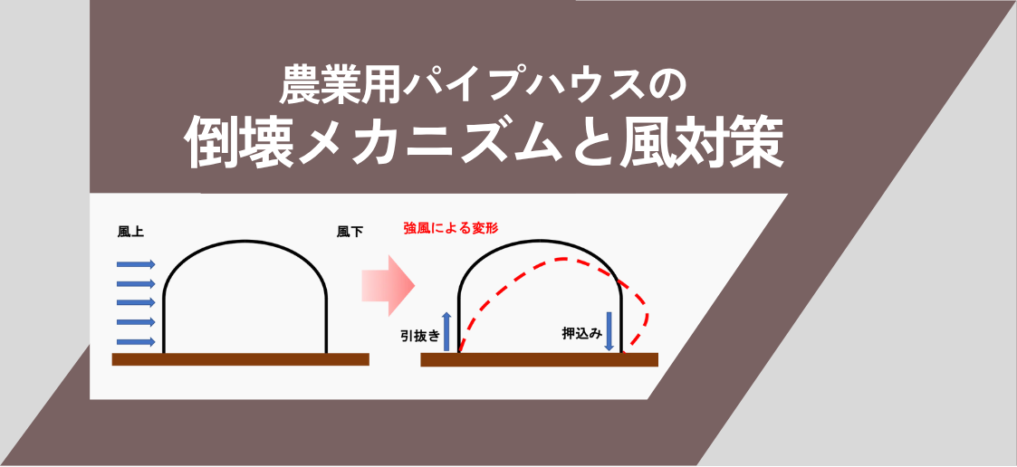 ”農業用パイプハウス”の風対策は如何に？！倒壊のメカニズムを踏まえた3つの基本的なアプローチをご紹介。