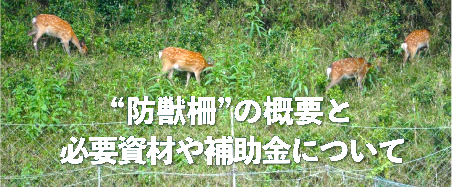 イノシシやシカの害獣対策に有効な“防獣柵”とは？！その概要と必要な資材や補助金について解説。