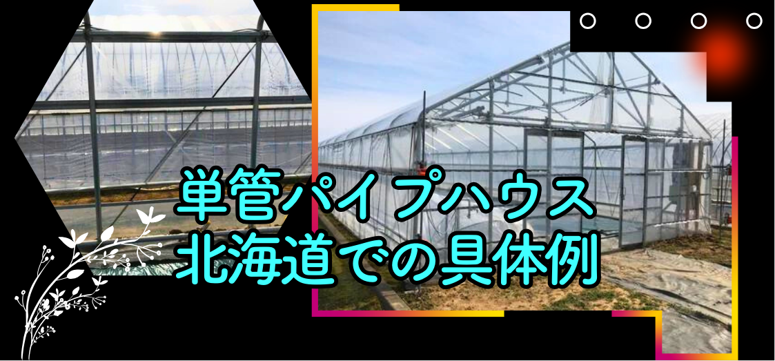 単管パイプハウスで低コストと強度アップ！北海道の具体例をご紹介