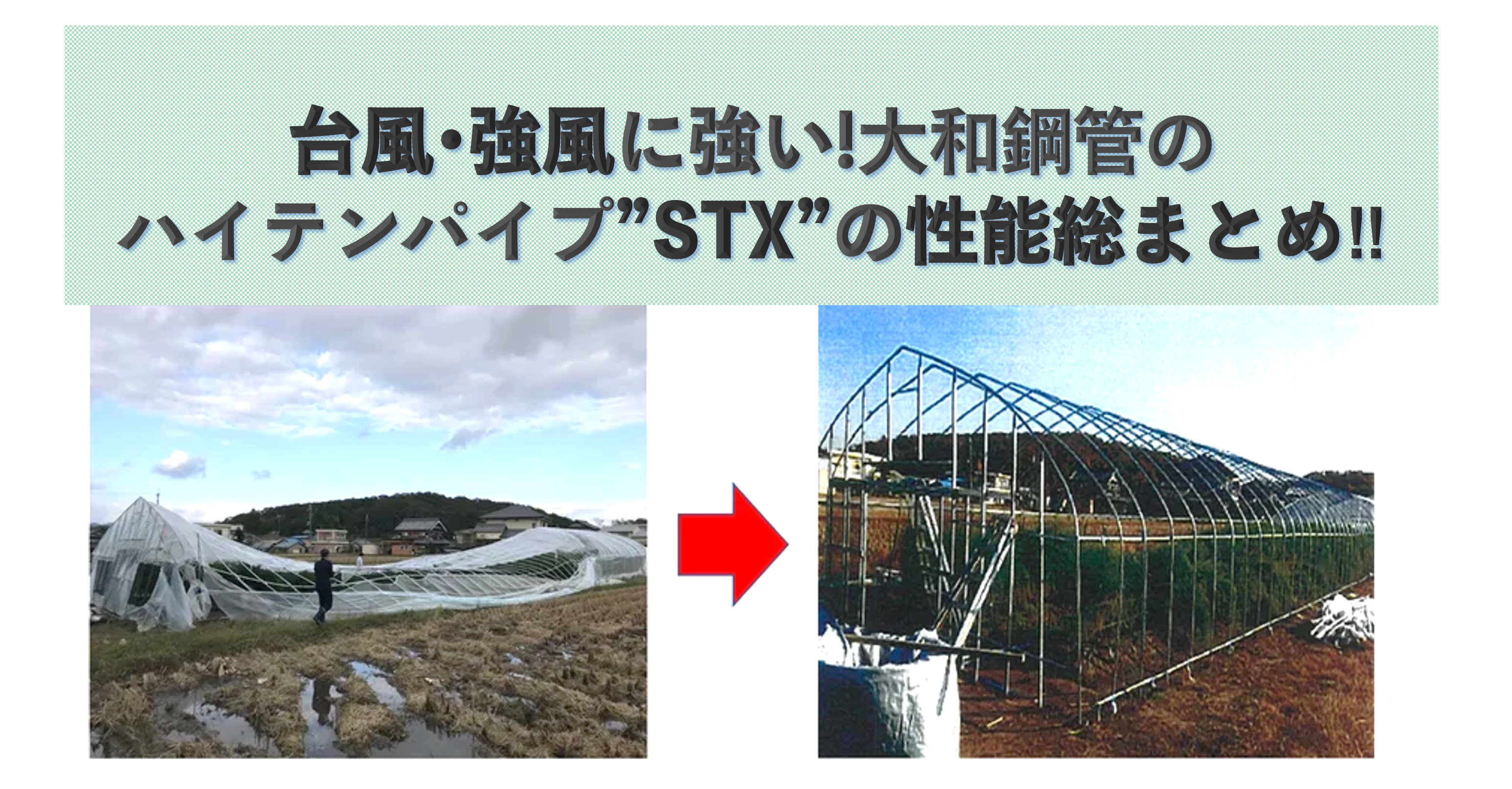 台風･強風に耐えるパイプハウス実現への強い味方‼︎当社のハイテン鋼管“STX”の性能を総まとめ。