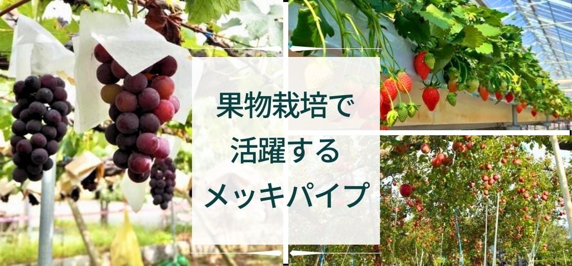 大至急最終！即決！果樹園 棚パイプ 農業資材 (亜鉛メッキ)一式 重たい支柱にさようなら。果樹農家絶賛の、”とにかく”軽くて長持ちする